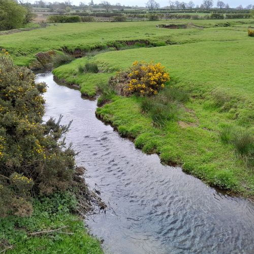 River