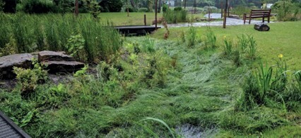 Nature based attenuations basins providing storage while enhancing habitats for wildlife