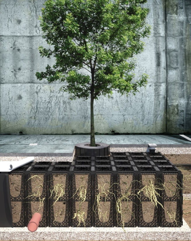 Tree Pit