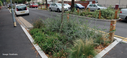 Rain Gardens