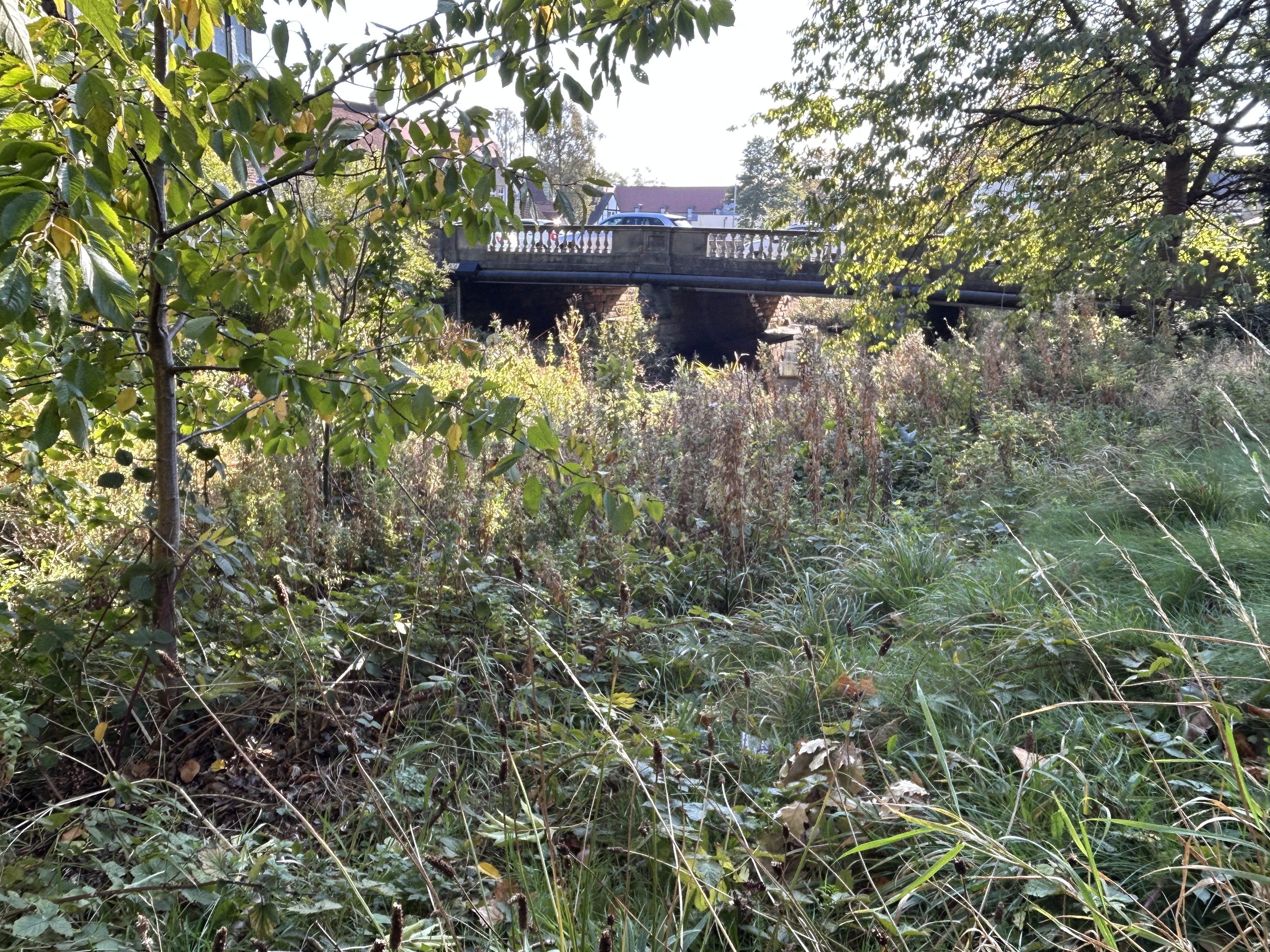 Ponteland