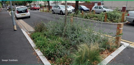 Rain Gardens