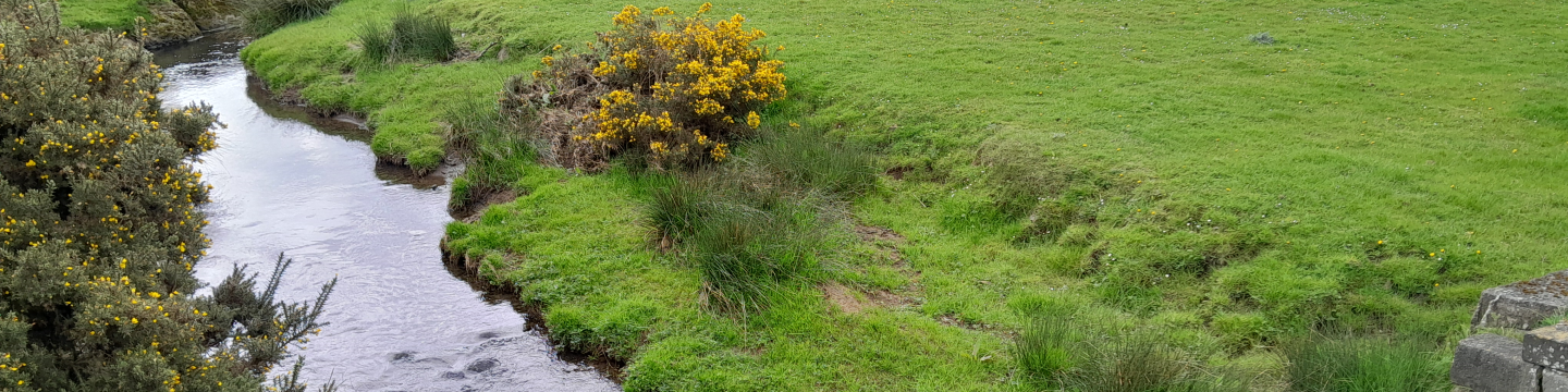 Two Northumbrian Water employees working
