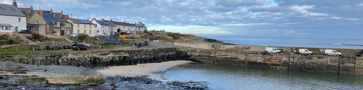 Craster