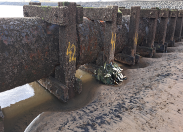 Work on the long sea outfall