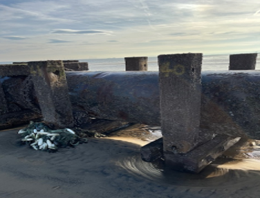 Work on the long sea outfall